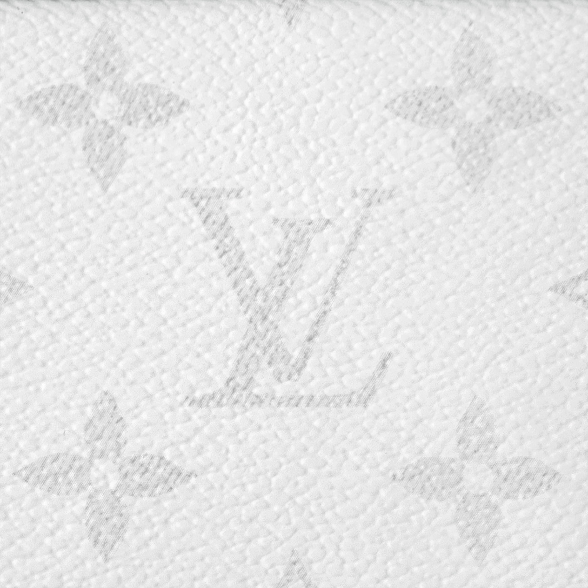 Gaston Wearable Wallet Taigarama - Bags | LOUIS VUITTON